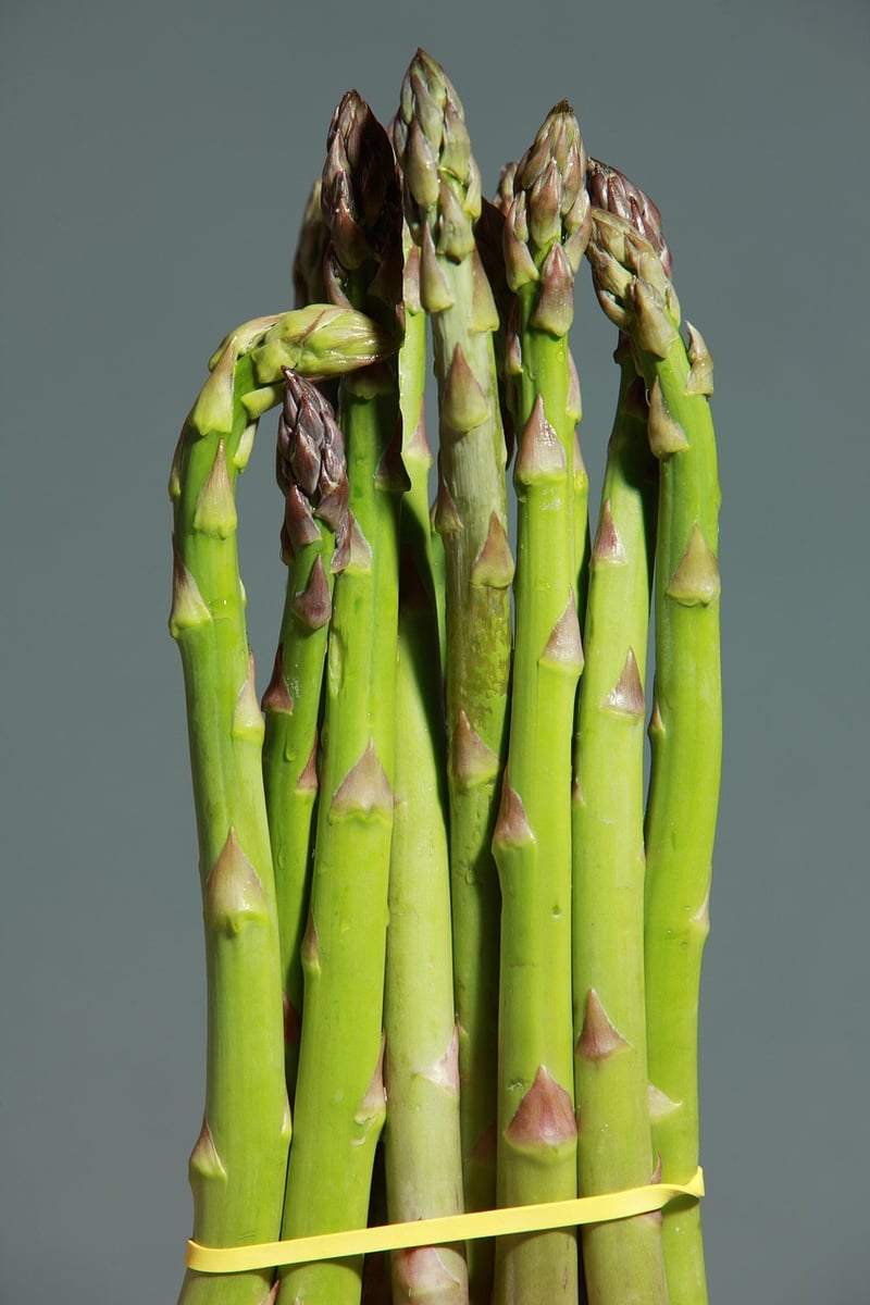 Artistic Plating